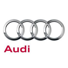 Audi 06m-121-031-g Genuine Engine Water Pump Pulley