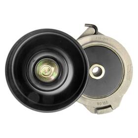 Dorman 419-211 For Ford F-150 1997-2010 Techoice Automatic Belt Tensioner