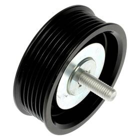 Dorman 419-5011 Idler Pulley