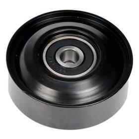 Dorman 419-661 For Infiniti M45 2009-2010 Techoice Idler Pulley