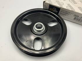 Drive Works 762164197957 300-250 Power Steeing Pump Pulley