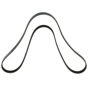 24505054 Gm Genuine 1993-1995 Buick Chevrolet Oldsmobile Pontiac Serpentine Belt