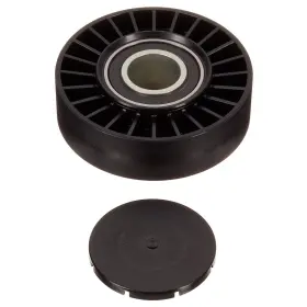 Fp01691 Ina Us Accessory Drive Belt Idler Pulley