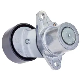 Fp10571 Ina Us Accessory Drive Belt Tensioner Pulley