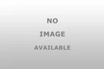Dorman 419201 Automatic Belt Tensioner Reliable Performance New. Price: $77.99.