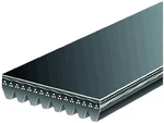 For 2001, 2007 Freightliner MT45 Multi Rib Belt Gates 36353YTTP 5.9L Cyl Cng New. Price: $58.51.
